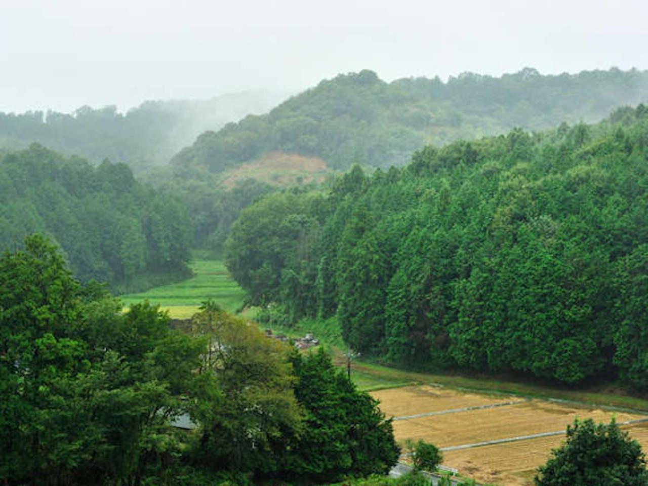 Mashikokan Satoyama Resort Hotel Bagian luar foto
